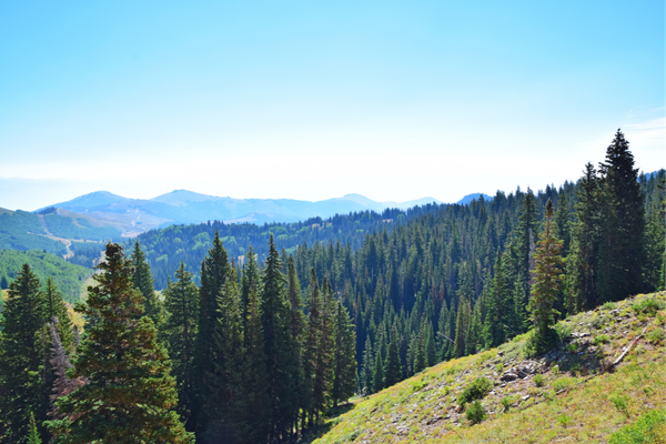 McLeod Ganj Retreats