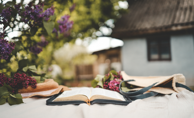 Lifestyle Reset Retreats