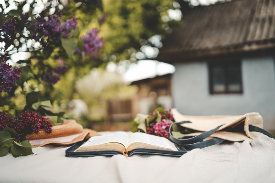 Lifestyle Reset Retreats