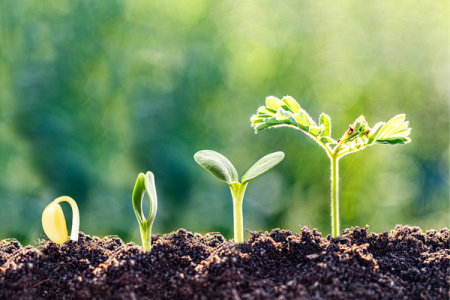 Personal Growth Retreats