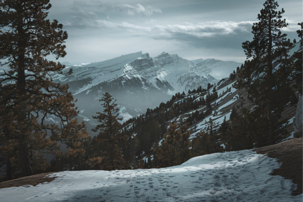 Dharamshala Retreats